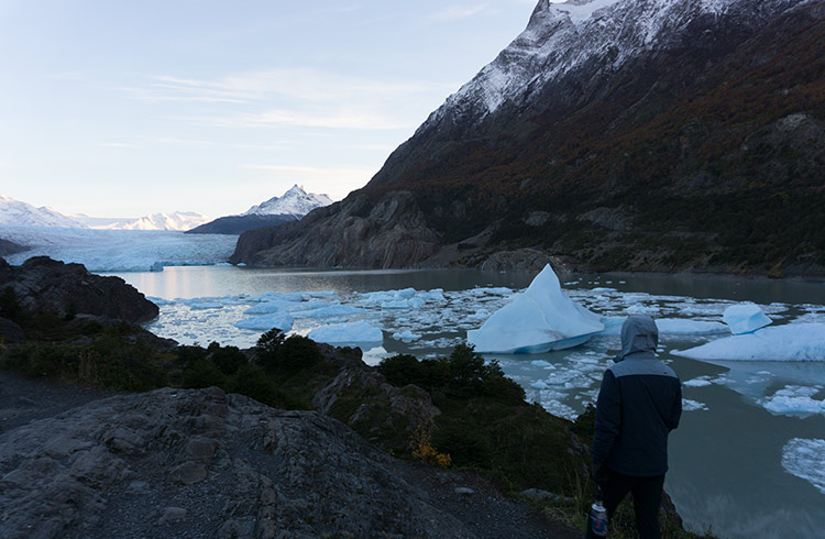 Grey Glacier is a highlight of The W Trek, Torres del Paine.