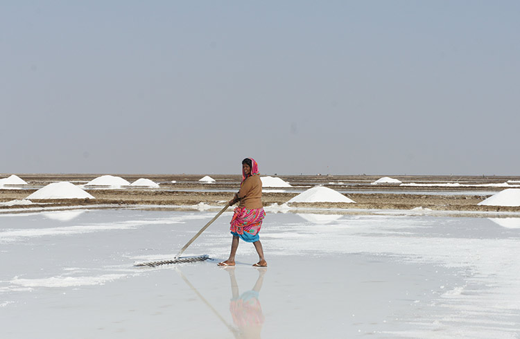India Itinerary: How to See Western India in 12 Days
